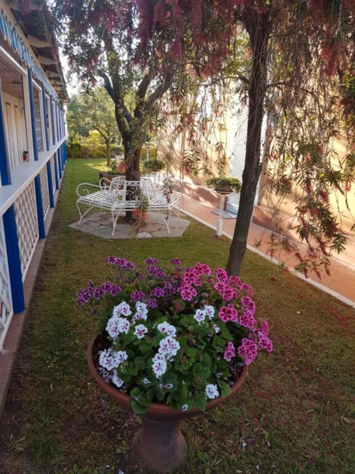 Bed And Breakfast Bagno Venezia Marina Di Carrara Eksteriør bilde
